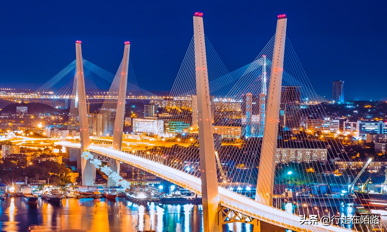 海参崴的渔业资源：挨枪子也要非法捕捞，一次利润数万元