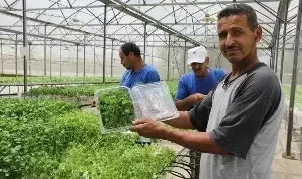 以色列水肥一体化,以色列高科技农业水肥一体化