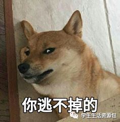 来实习的第一天,来实习一个月了还是什么都不会