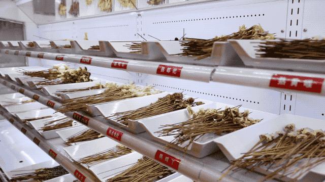 成都钵钵鸡哪里的最好吃,成都这个钵钵鸡好吃到令人上头