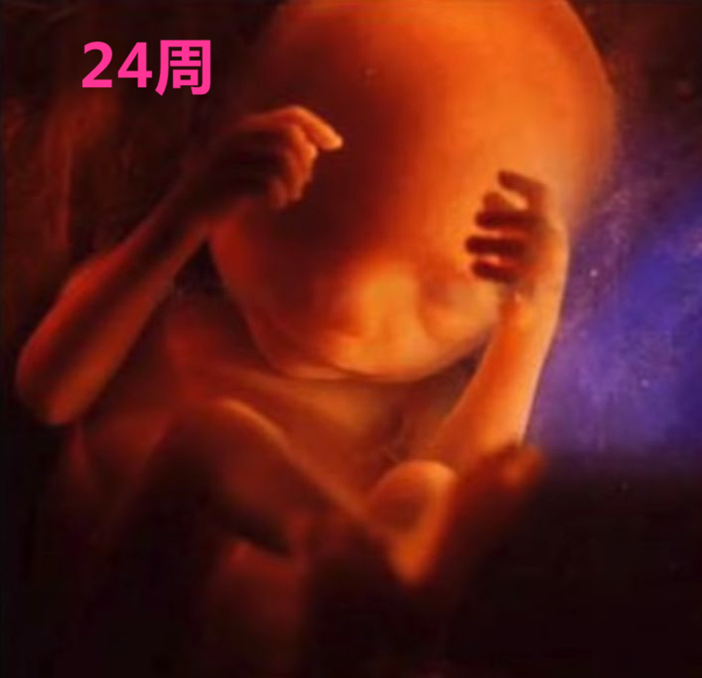 摄影师记录妻子怀孕纪录片,胎儿高清摄影