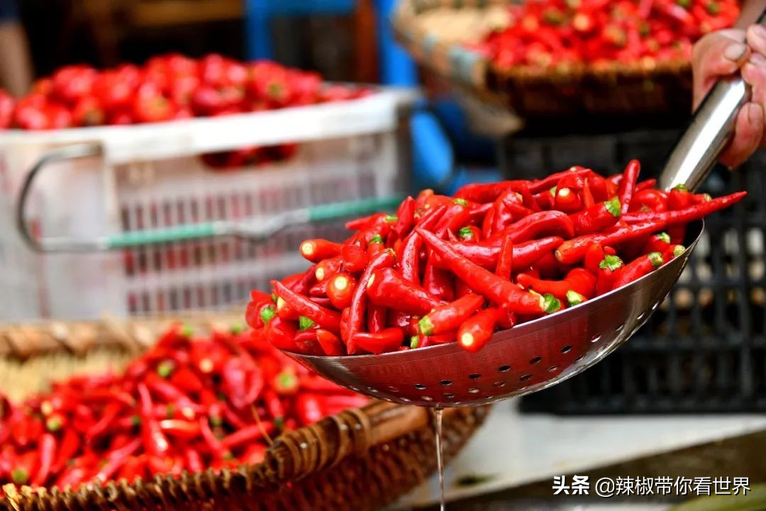 从西到东:贵州——沿河流“黔”行在这里一万种辣椒吃法向你奔来