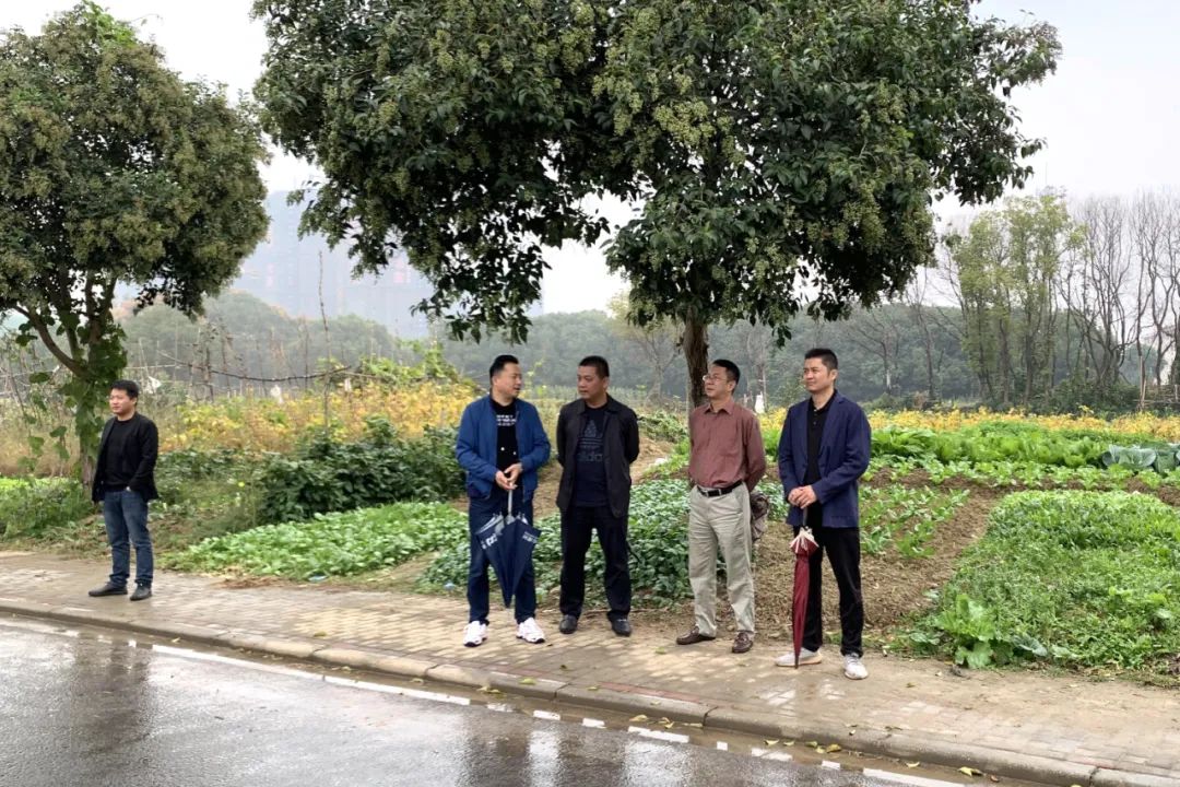 打通断头路工程,打通城区断头路瓶颈路10条