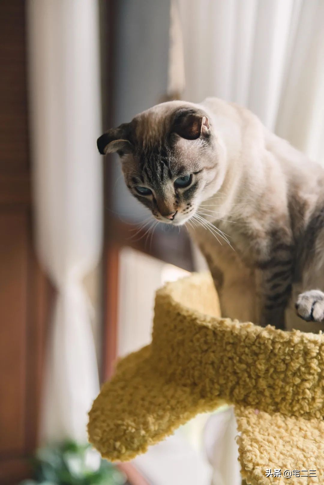 110平改平层,110平平层户型改造