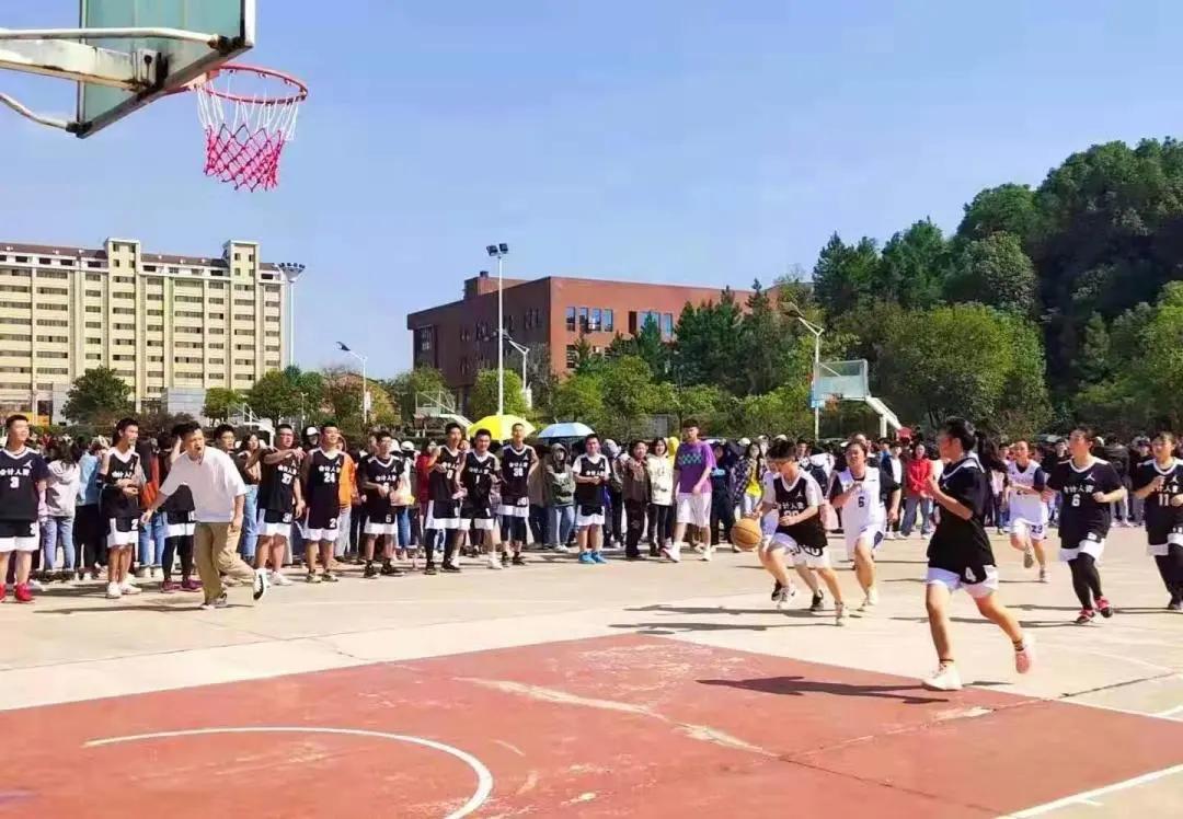 中南林业科技大学涉外学院2020年招生简章