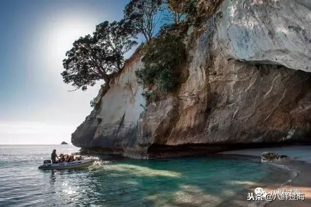 引入活青口贝、鲜帝王鲑,新西兰海产出口商的新生力量!