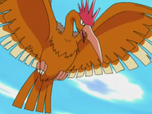 小智没有收服的火系御三家,小智没有收服的宝可梦