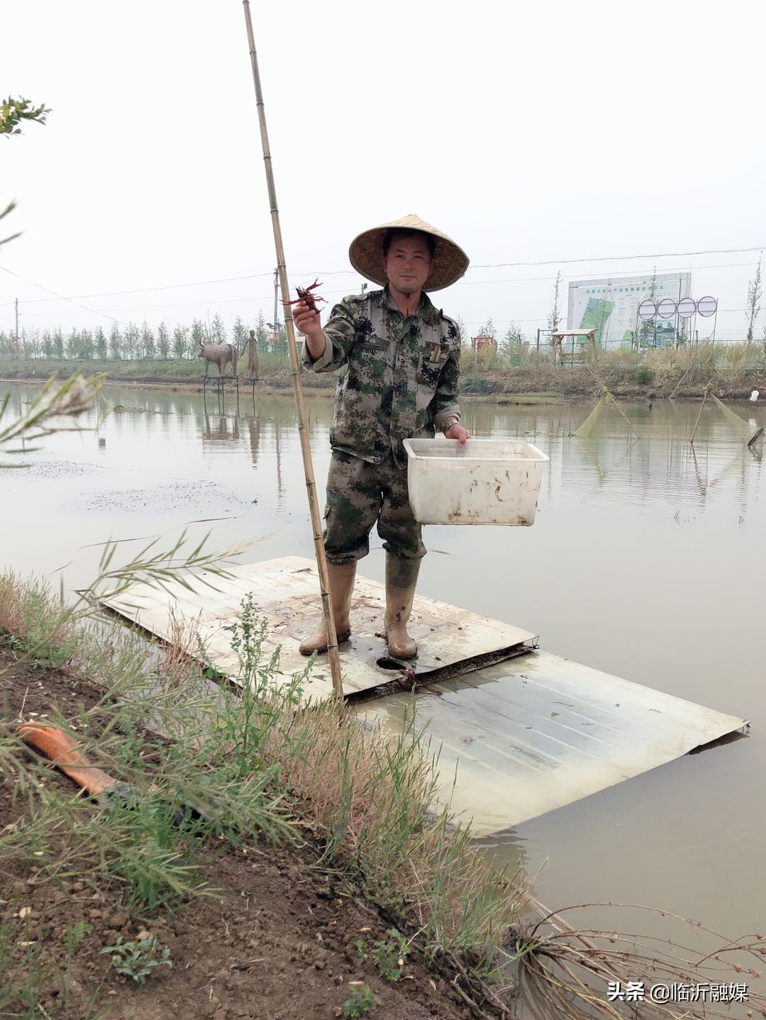 临沂农民致富,农妇带领村民走上致富之路