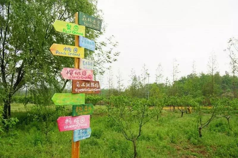 江浙沪适合带娃泡温泉的地方,带娃好去处温泉