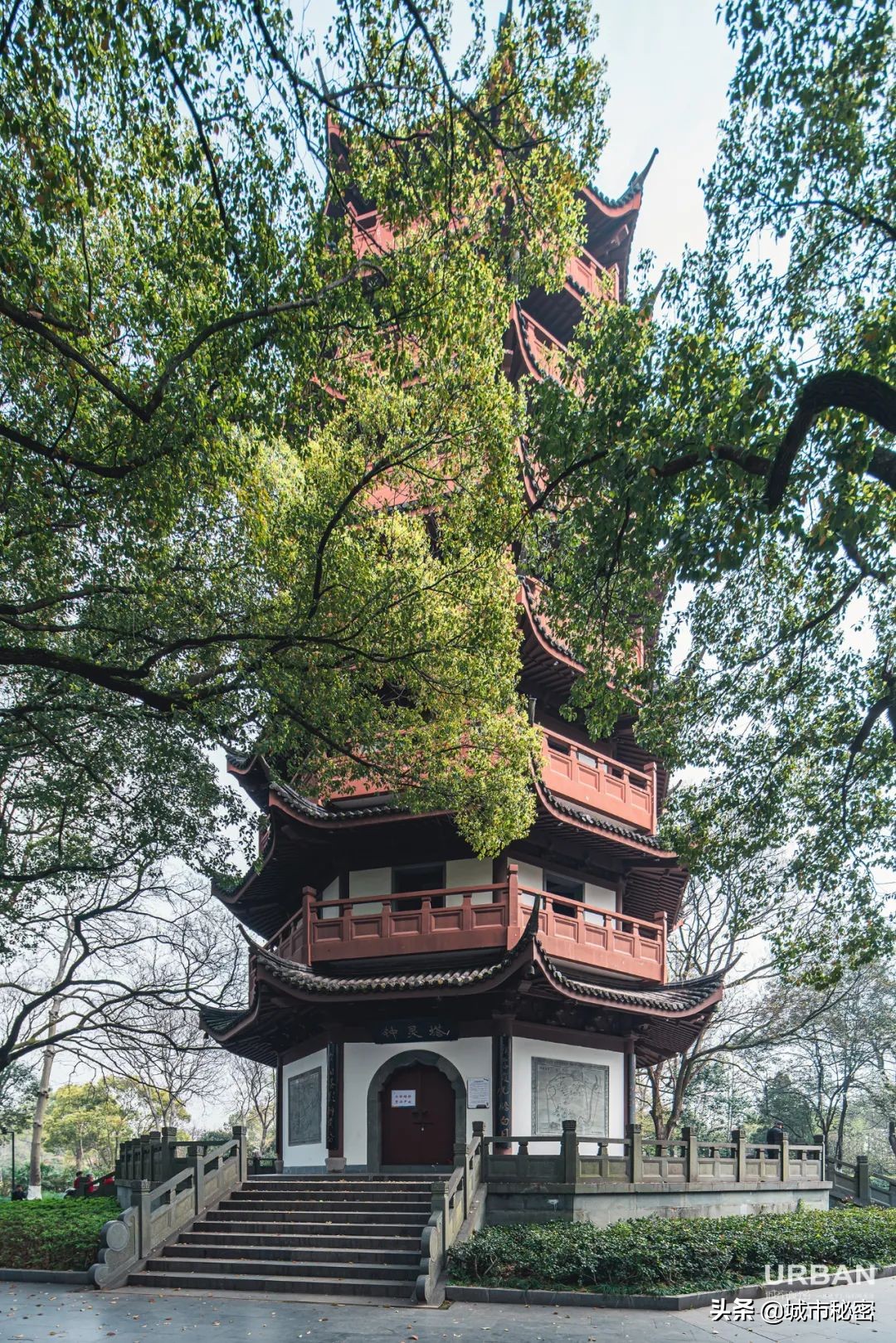 金庸谈衢州,金庸笔下浙江江山市