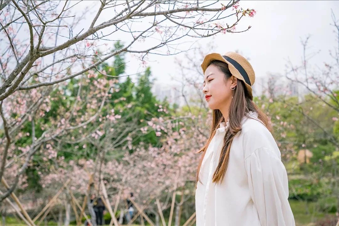 去深圳免费游玩的10个地方,深圳免费游玩景点推荐