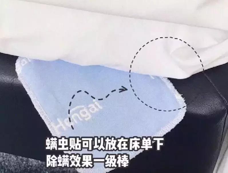 从床上吸出来的白色粉末是螨虫吗,生活窍门床单上的螨虫放大1000倍