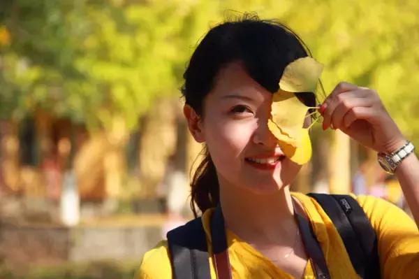 南雄最美银杏,广东美丽的银杏图片