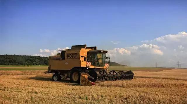 托市小麦最新政策,地区小麦收购价