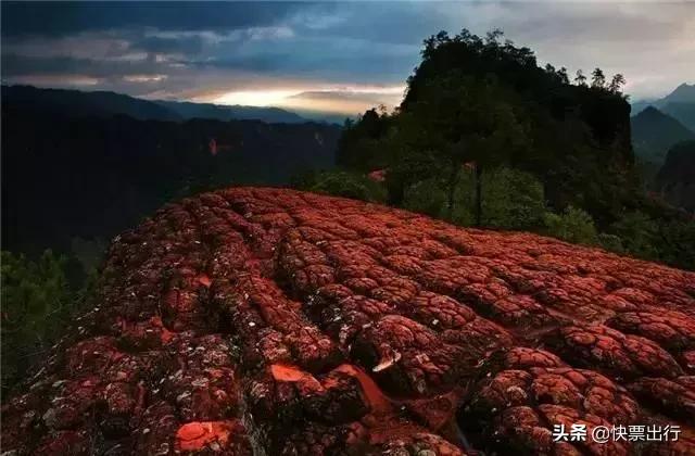 云南十大红色旅游景点都有哪些,云南西双版纳有哪些景点值得去玩