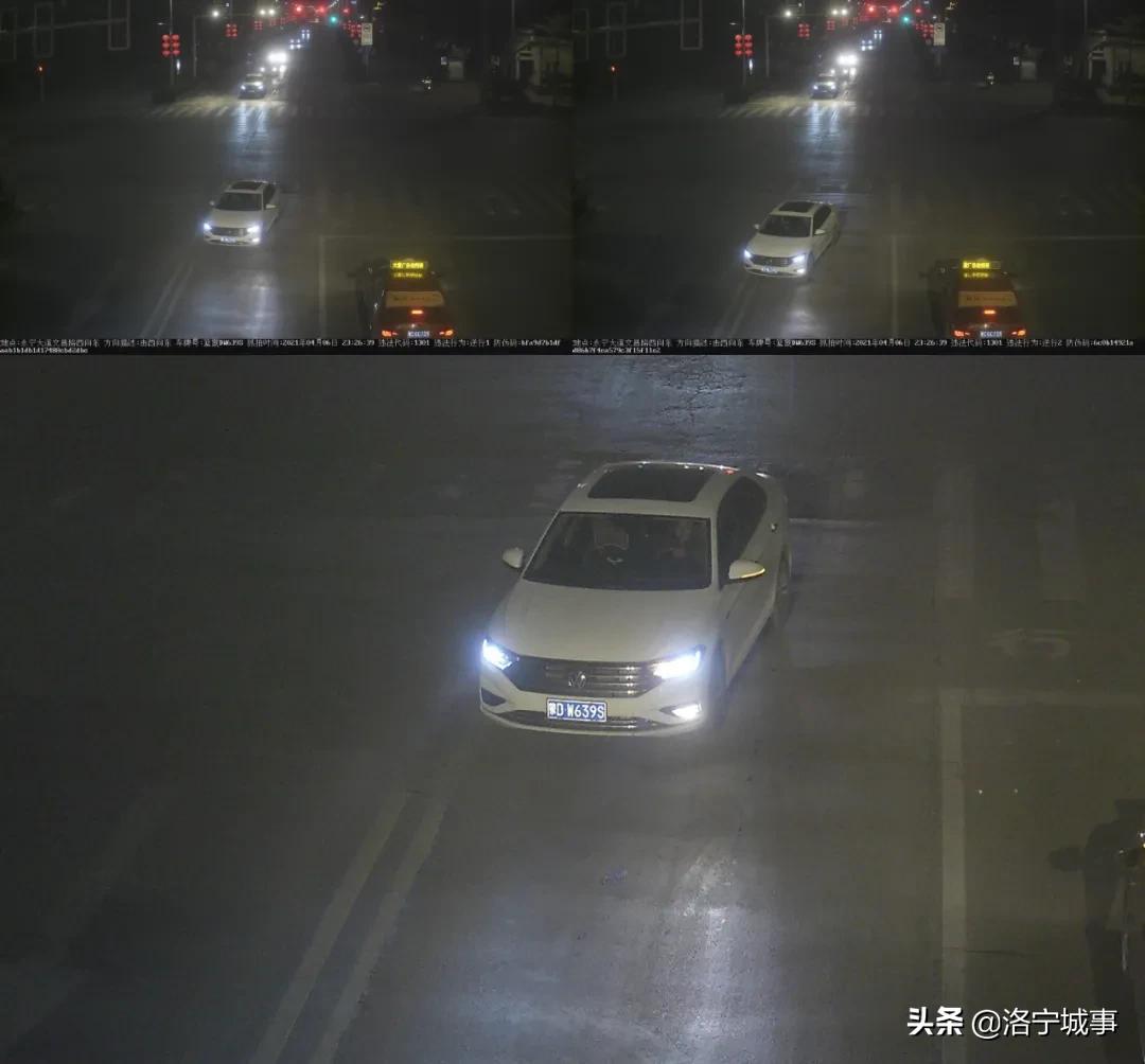 洛宁交警曝光酒驾醉驾典型案例,洛宁县交警违章处理在哪里