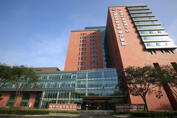 中国医学界四大顶尖医院,中国最顶尖的十所医院