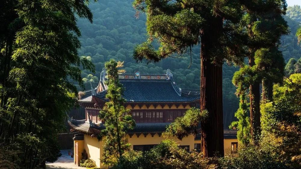 杭州出家,杭州出家需要什么条件