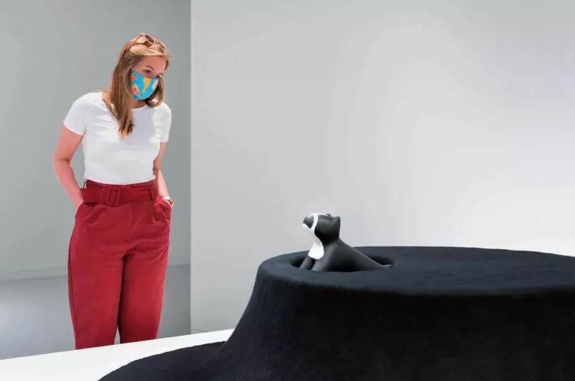 为了养狗装扮了一个房子,为狗狗设计的房子