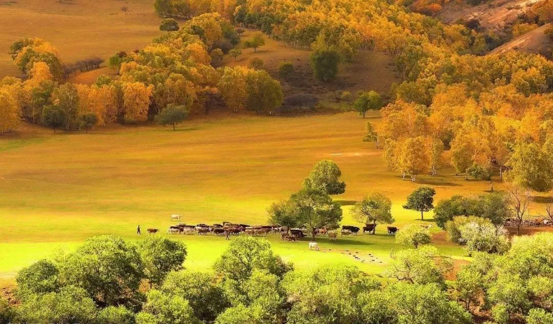 带你去看浩瀚宇宙,带你去内蒙古赤峰