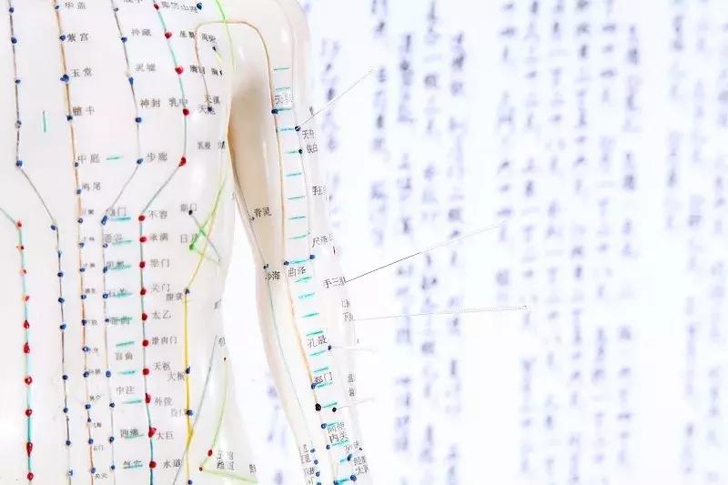 经络通百病无怎么调理,经络不通百病缠教你几招打通经络