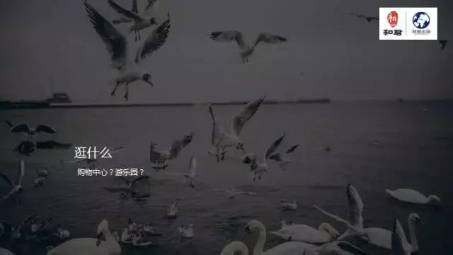 文娱行业地毯扫描：论吃喝玩乐我只服这四个天才！