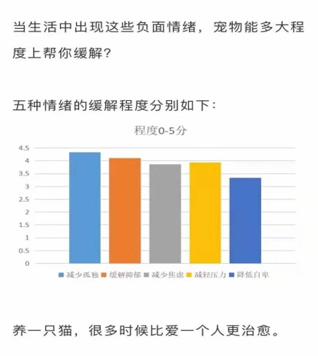 你知道养猫的好处有哪些吗,你知道养猫效应吗