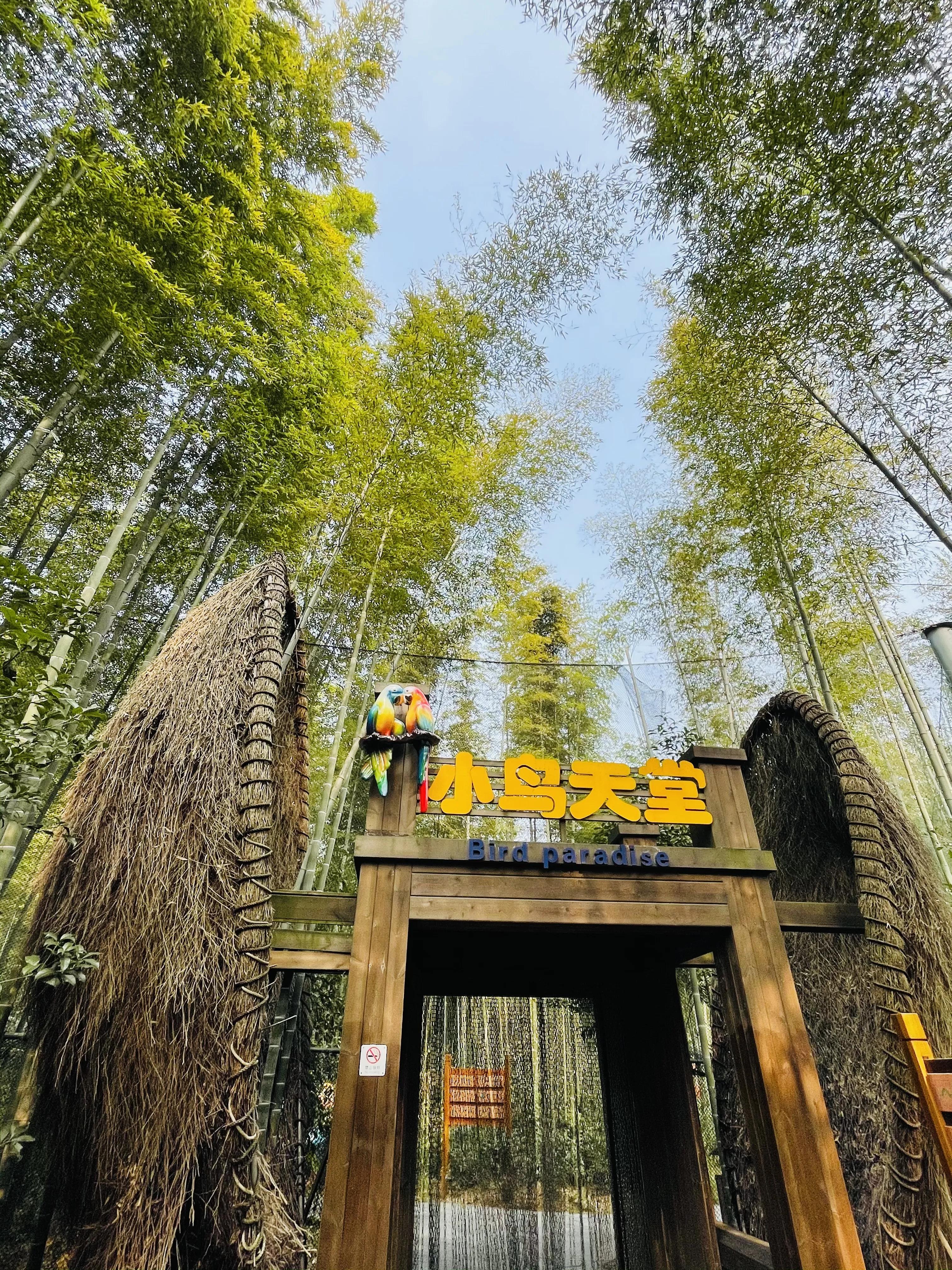 溧阳南山竹海小鸟天堂,宜兴南山竹海和溧阳南山竹海