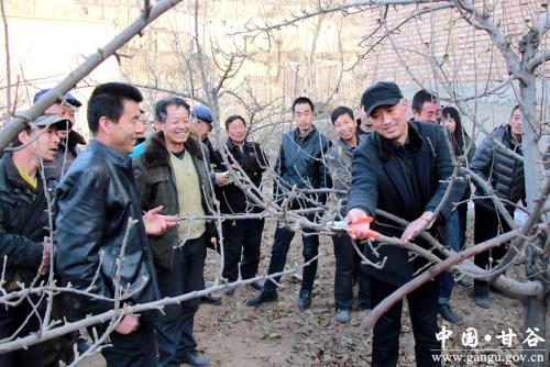 共享果园的运营模式,共享农庄合伙人招募