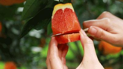 秭归脐橙价格为何持续走低,疫情原因果子滞销