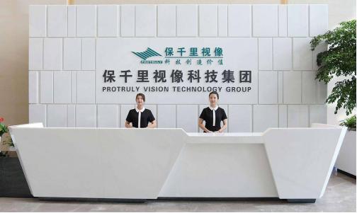 乐视公司的造假手段,乐视公司造假案件