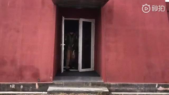 漫画家韩李李：为什么有的生命还在跟你说话，有的却变成了一道菜