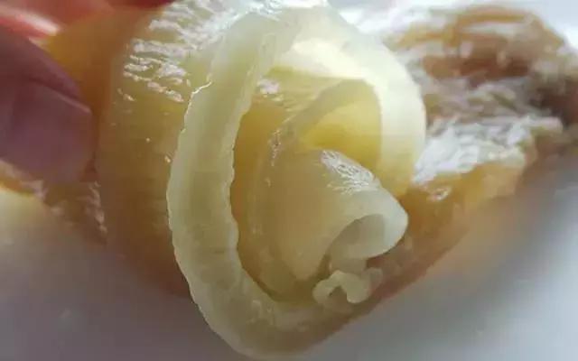 黄花鱼花胶的正确泡发方法,花胶发制