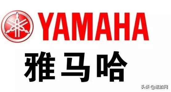 公司不按套路出牌,全网最不按套路出牌