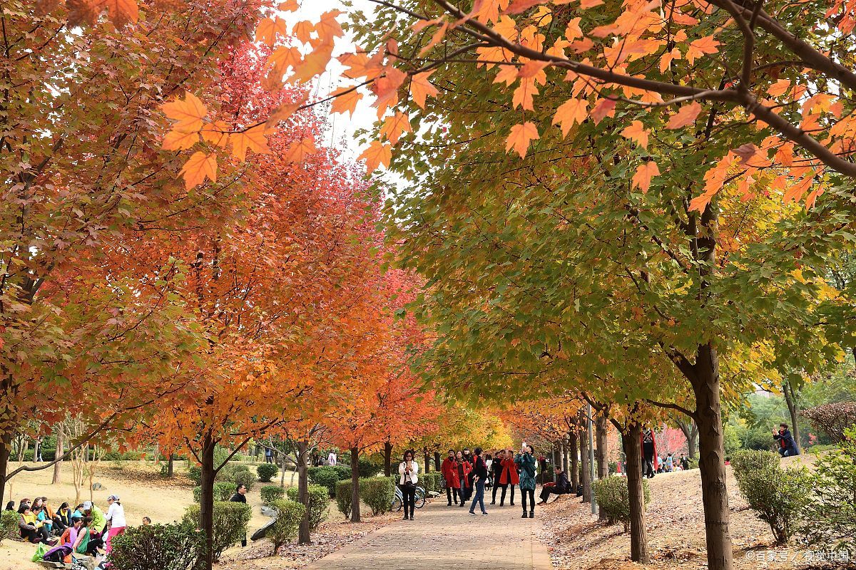 江西农业大学和安徽农业大学谁好,中国农业大学和湖南大学哪个更好