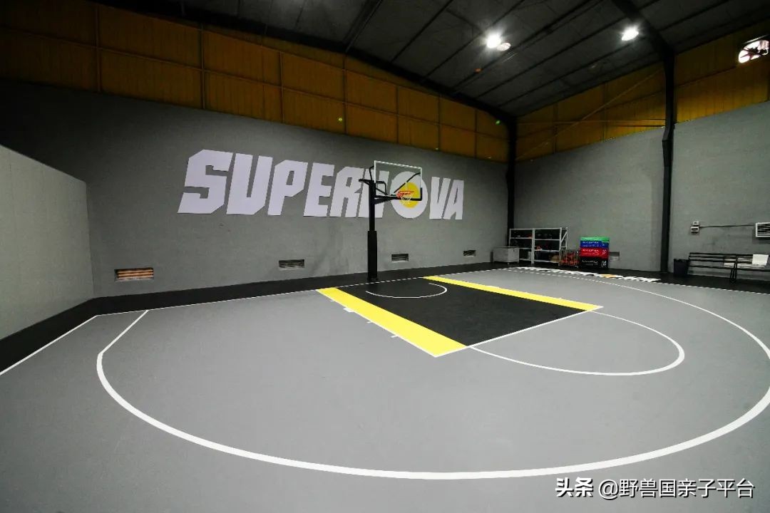 少儿篮球运动哪家好,权威少儿篮球兴趣班机构排名