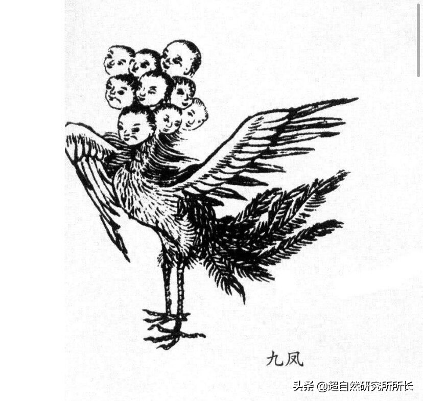 大禹治水是真实还是神话,历史上真实的禹治水