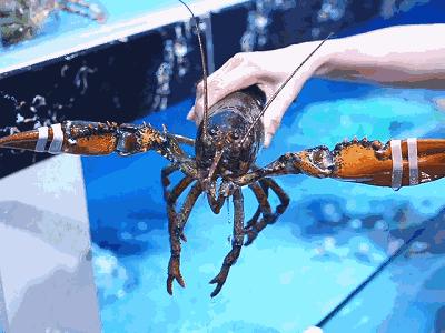 最好吃的海鲜都有哪些,顶级进口海鲜排行榜