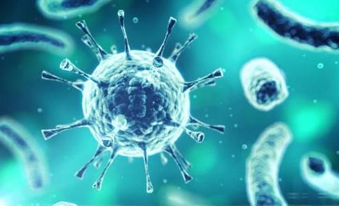 尖锐性湿疣患者的治愈经历,尖锐性湿疣患者的治愈经历经验