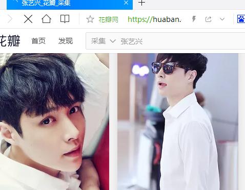 怎么在花瓣网截取图片,如何把花瓣上的图片批量下载下来