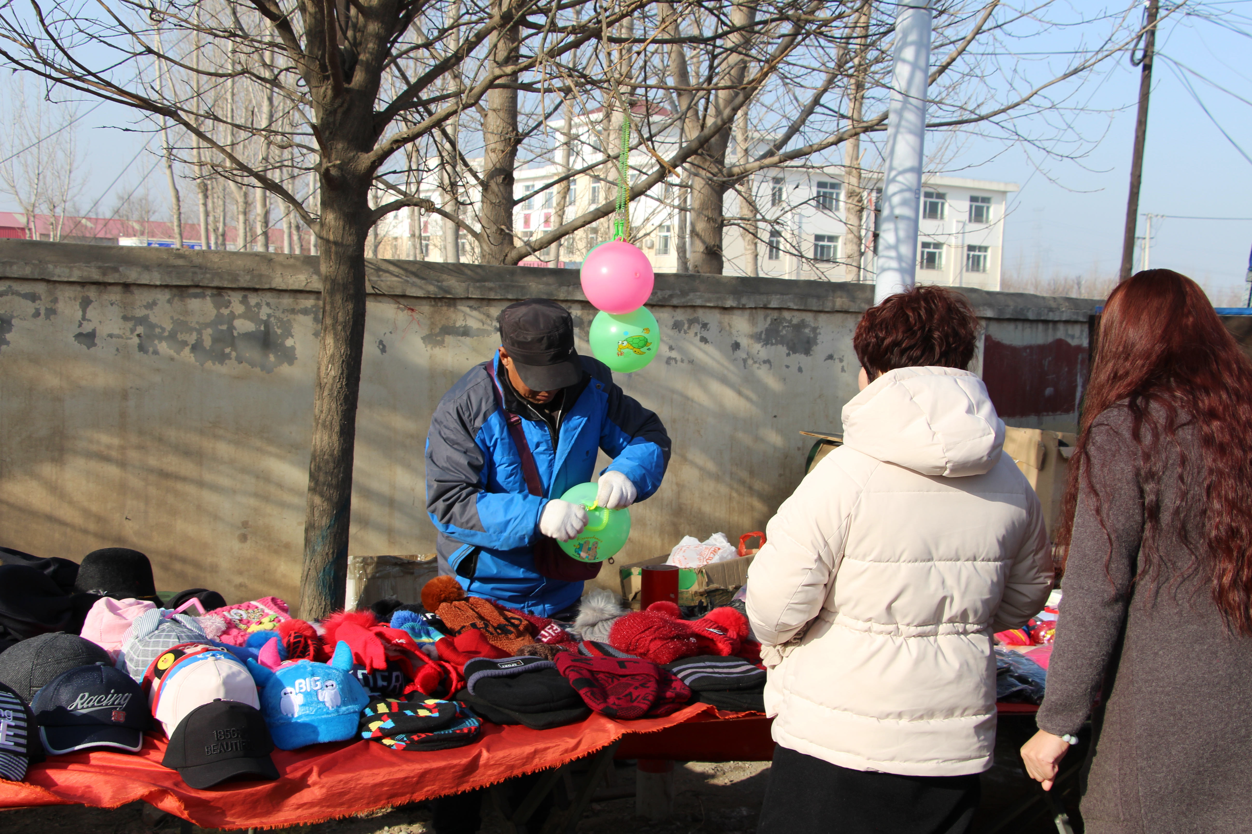 天津市武清区泗村店镇太子务村赶大集