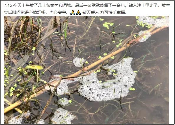 贴吧的奇葩问题,贴吧遇到的奇葩故事