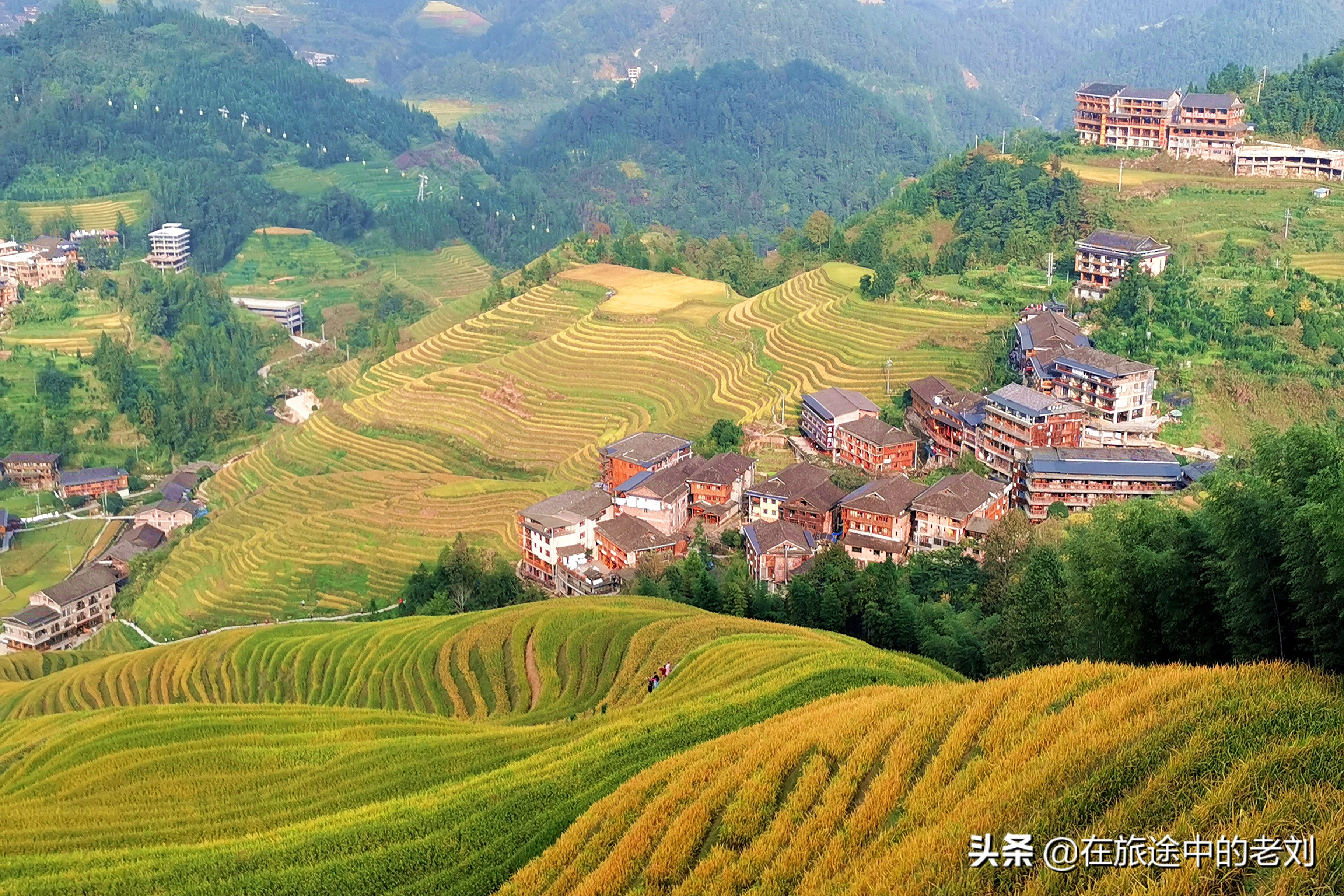 远赴龙脊大寨梯田,追逐今年最后的金黄——桂林七天游1