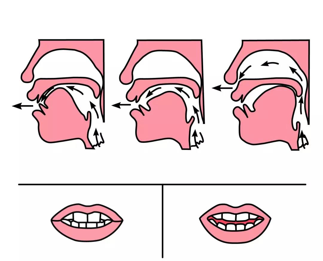 拼音里面的前鼻音和后鼻音有哪些,拼音字母前鼻音字母和后鼻音字母