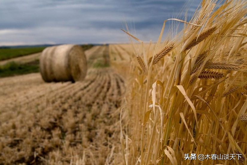 澳大利亚对我国出口三大产品,澳大利亚对华出口产品