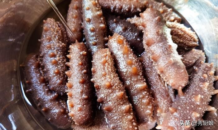 海参泡发正确流程的做法,海参泡发的正确步骤和做法视频