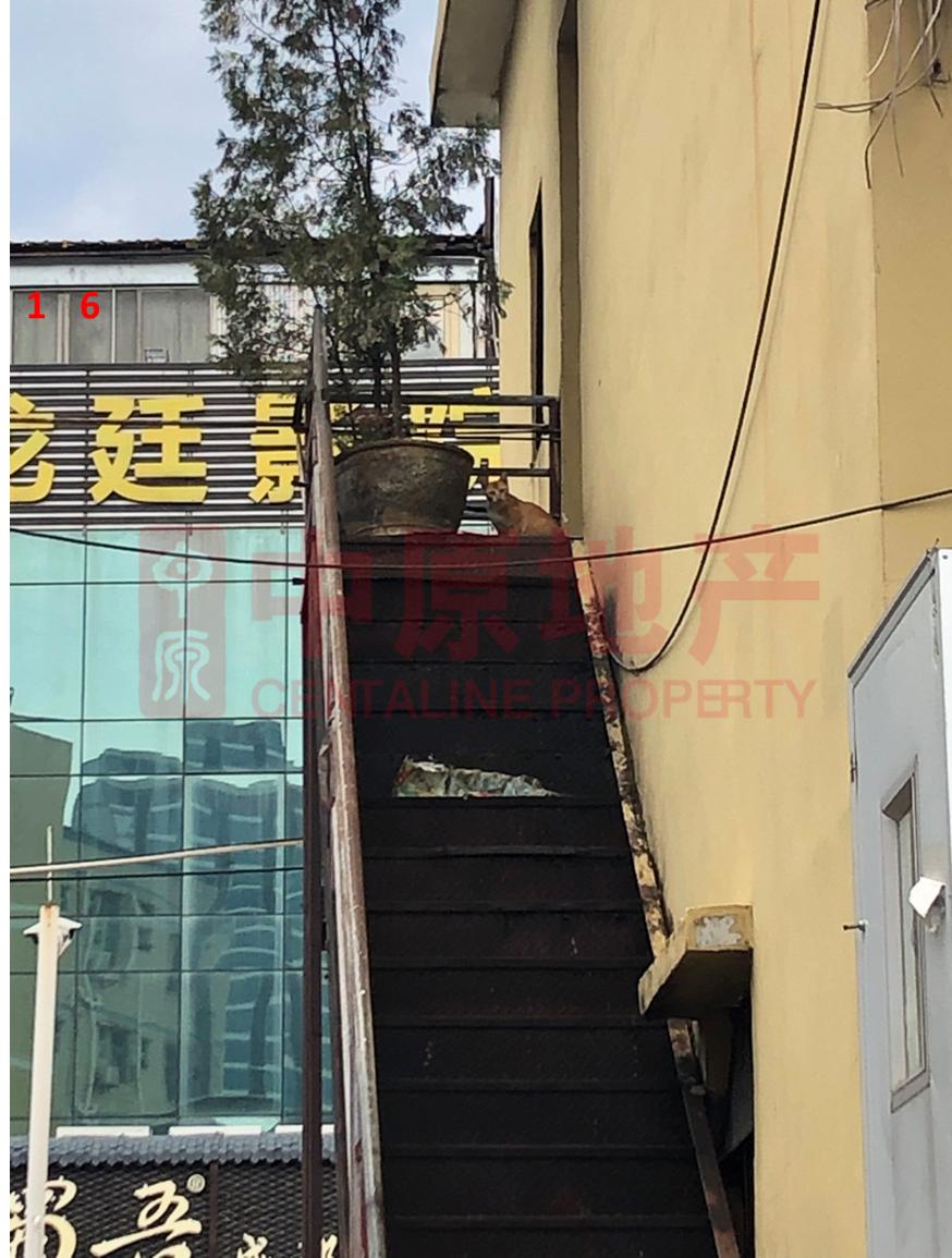 深圳沙井印象,深圳西游记忆客栈