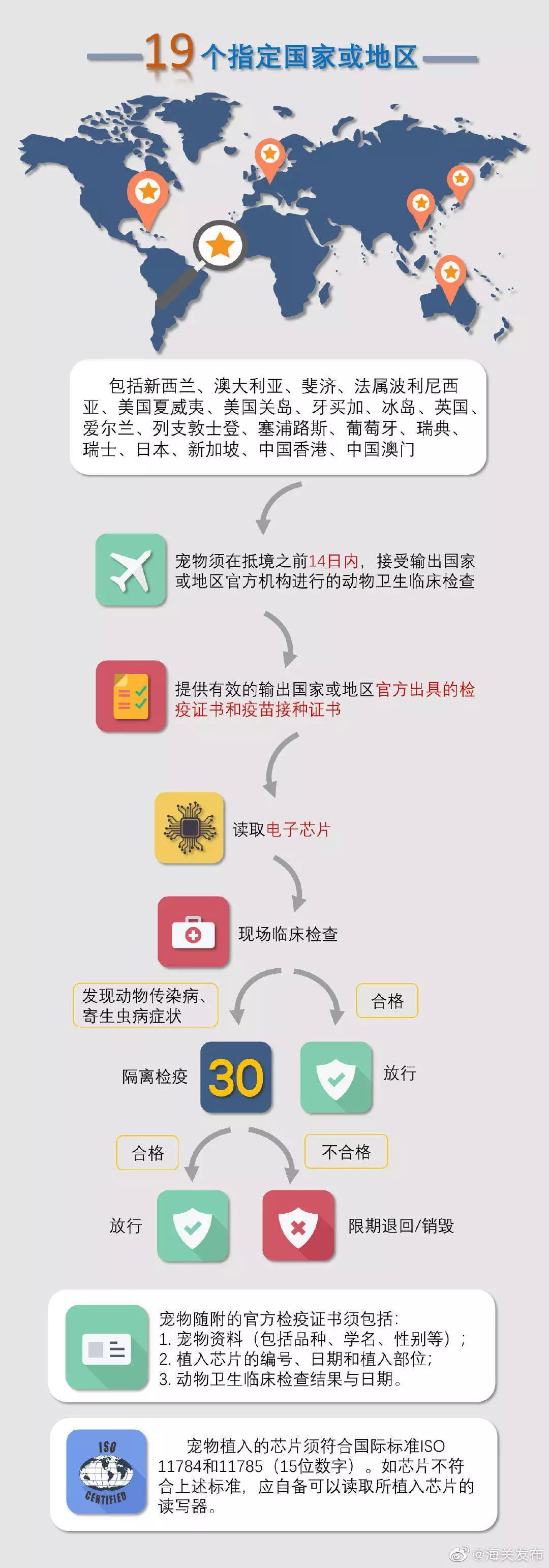 夏天如何带宠物上飞机回国,有哪些地方可以带宠物回国