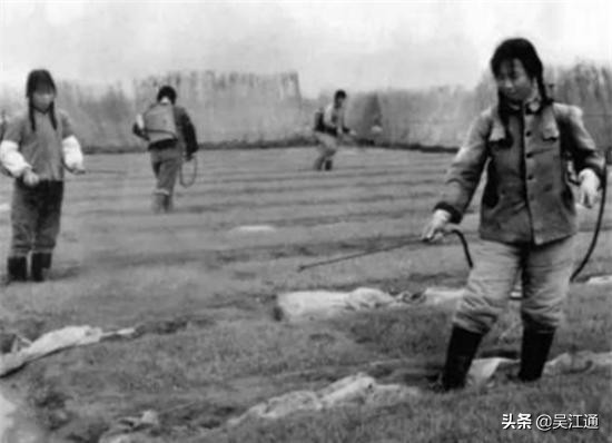 我经历“送瘟神”的时光