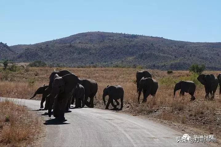 收藏系列：去非洲你应该知道的事，一文教你成为本地人